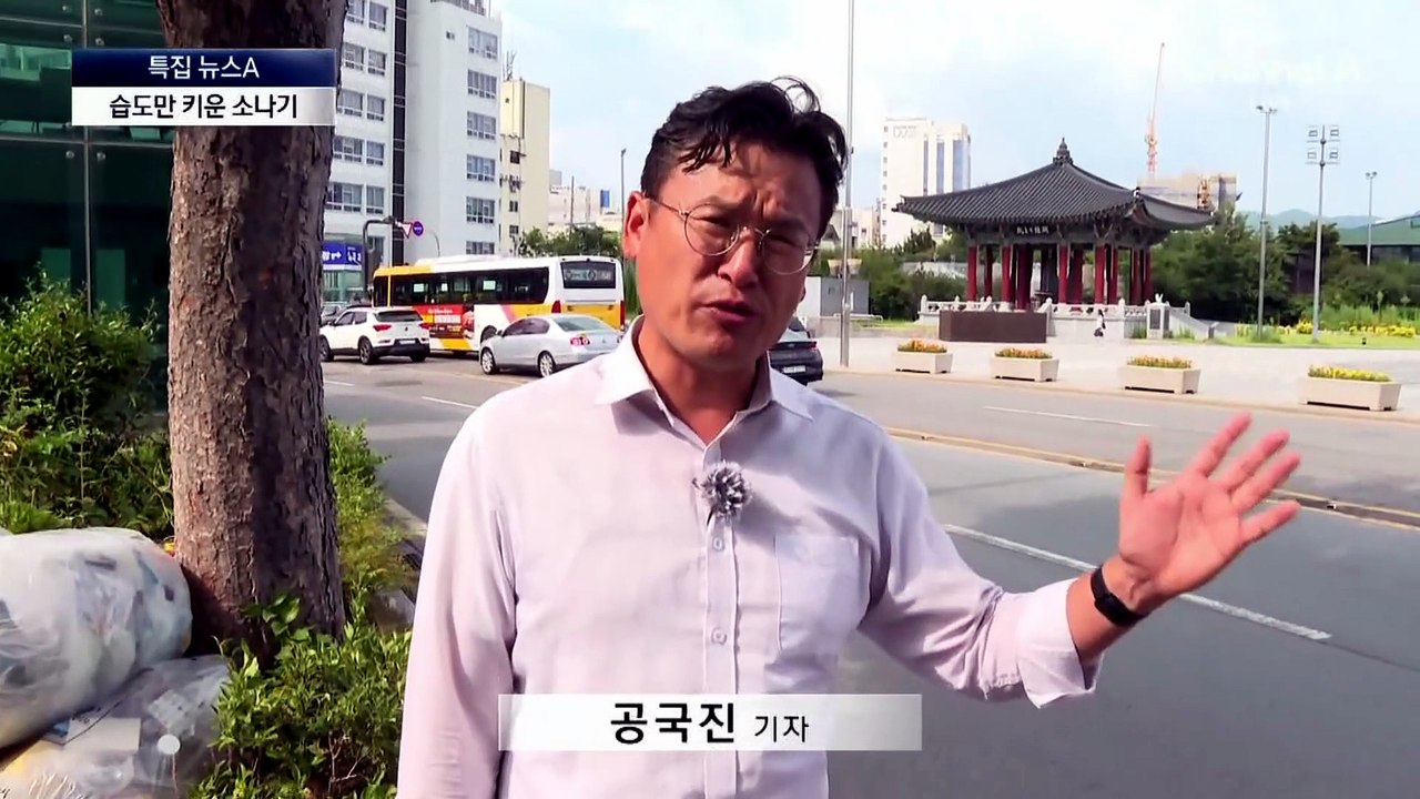 습도만 올리는 반짝 소나기…더위 식히기엔 역부족
