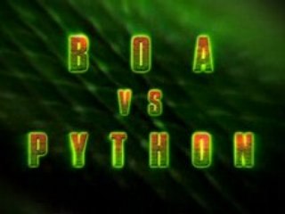 Boa VS Python