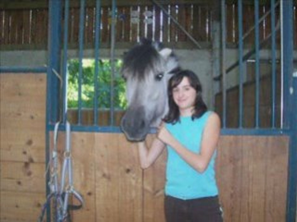 Vidéo de wissembourg