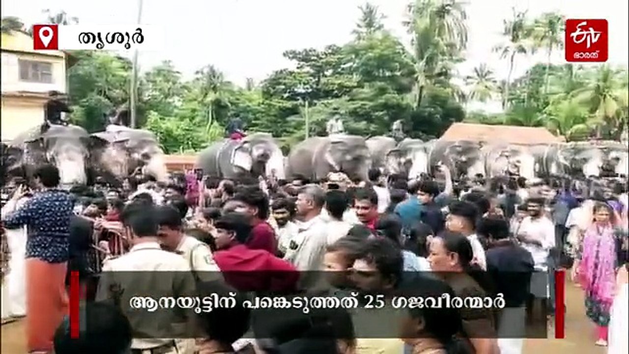 അണിനിരന്ന് 25 ഗജവീരന്മാർ; തൃപ്രയാറിൻ്റെ മണ്ണിൽ ആനകളെ ഊട്ടി ആയിരങ്ങൾ