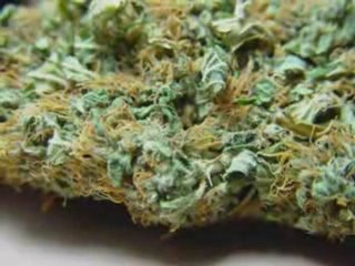 SIX FEET UNDER - WHITE WIDOW