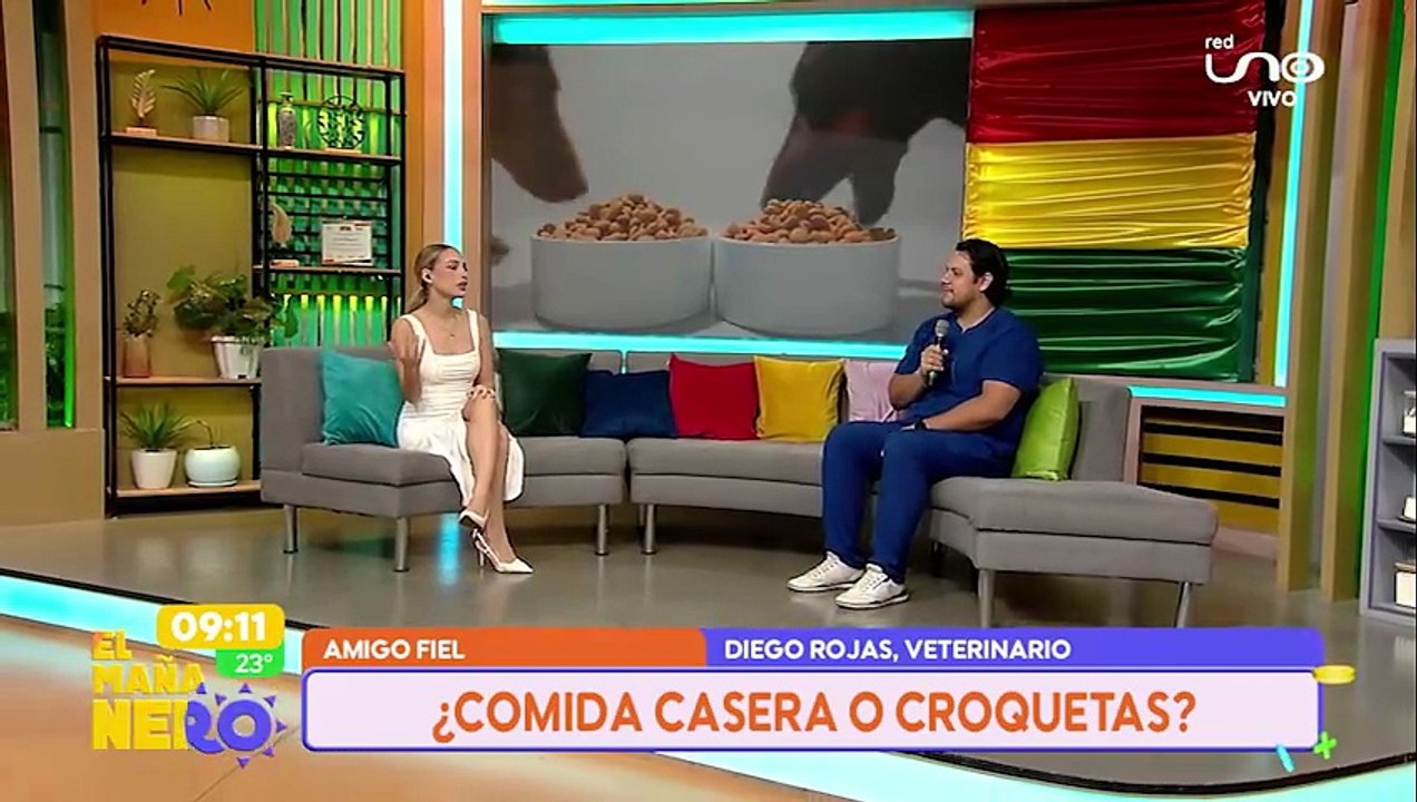¿COMIDA CASERA O CROQUETAS?