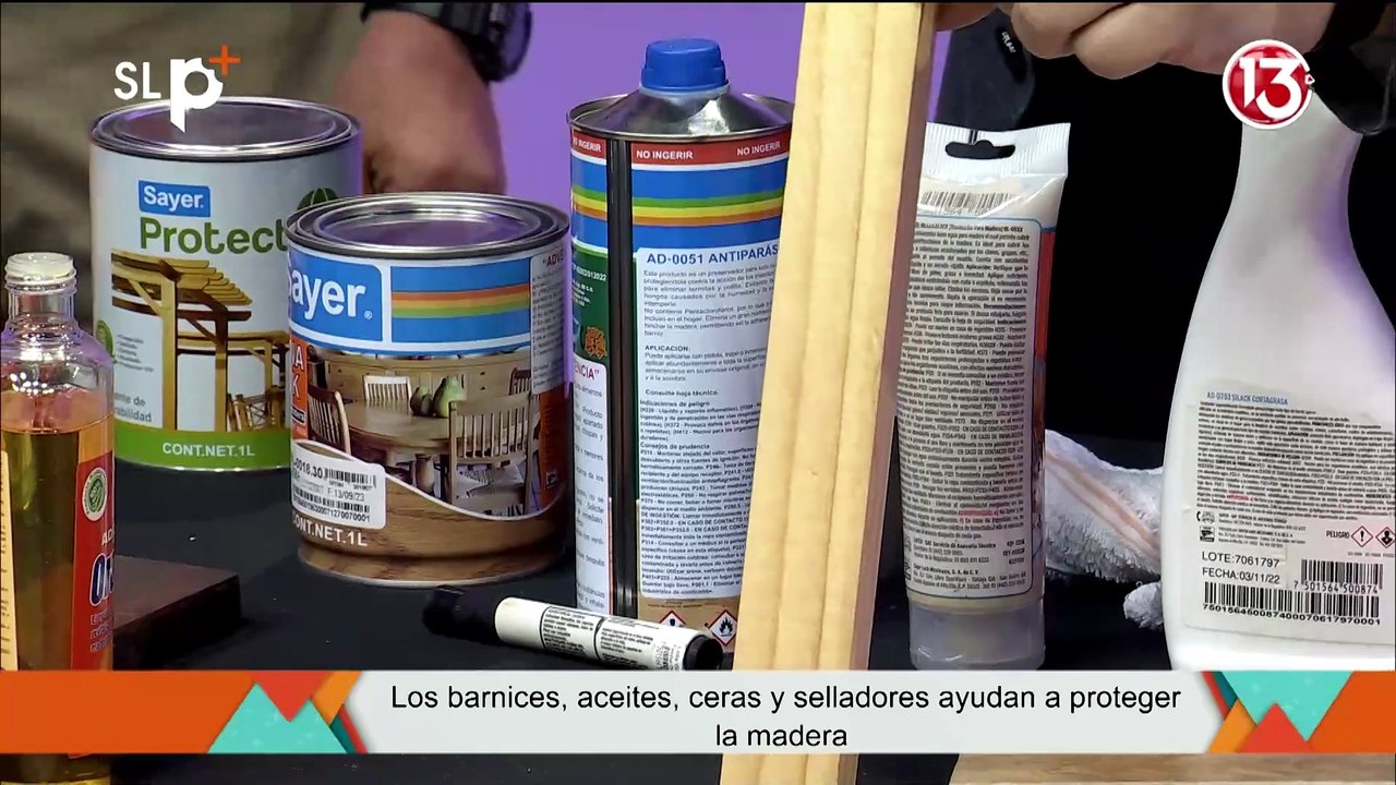 SLP Lunes 3 agosto Entrevista como proteger la madera