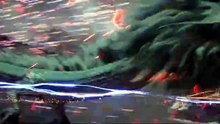 遮天 第174集