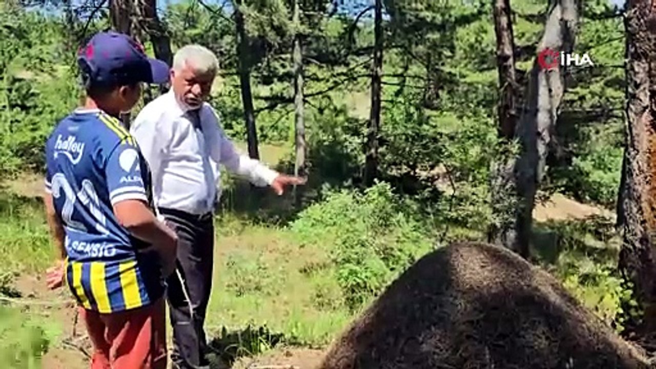 Burası Serengeti değil Yozgat! Dev yuvalar görenleri hayretler içerisinde bıraktı