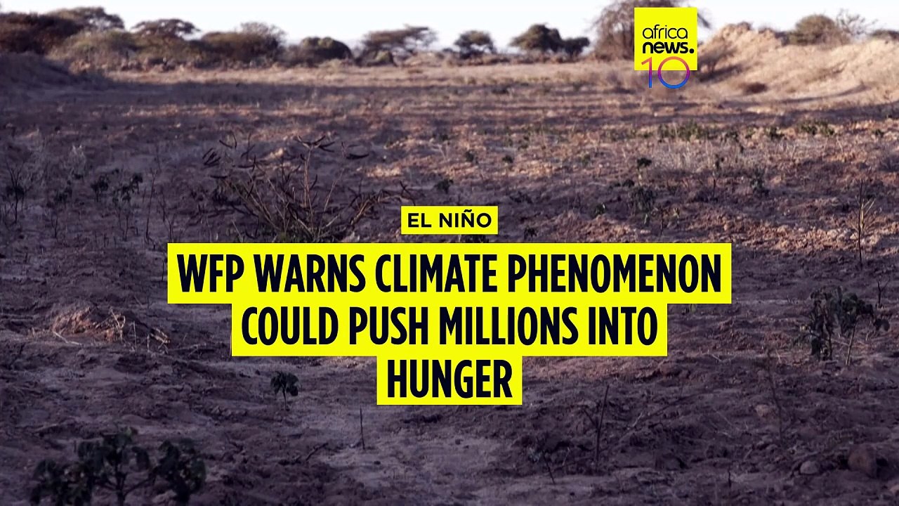 WFP warns powerful El Niño could push millions into hunger - video ...