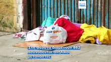 Η Θέουτα καταγγέλλει υπερπληρότητα 2.872% - Μπλόκο των κομμάτων στον διαμοιρασμό μεταναστών