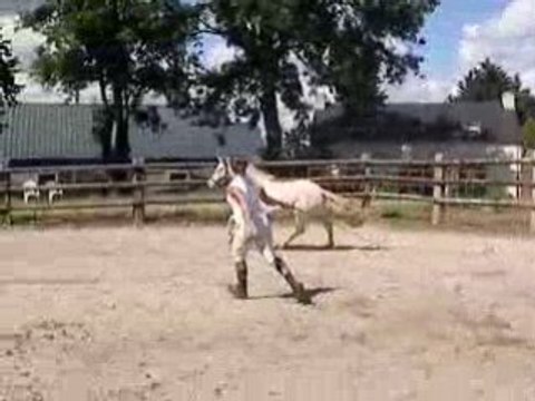 Si dorée 1 er séance de CSO juin 2008