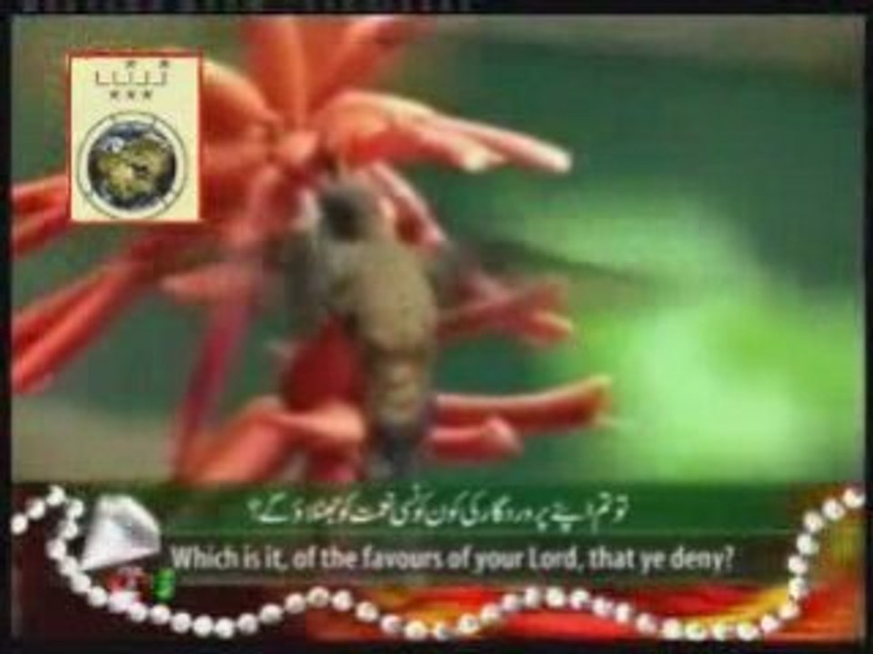 Sura Rahman - Beautiful, heart trembling quran recitation000