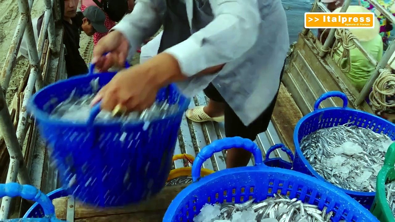 Pesca, 3 milioni per le imprese colpite dal maltempo