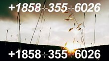24/7『COINBASE WALLET ®』 SUPPORT.© NUMBERS TOLL FREE NUMBER: Easy Step by Step Guide help desks
