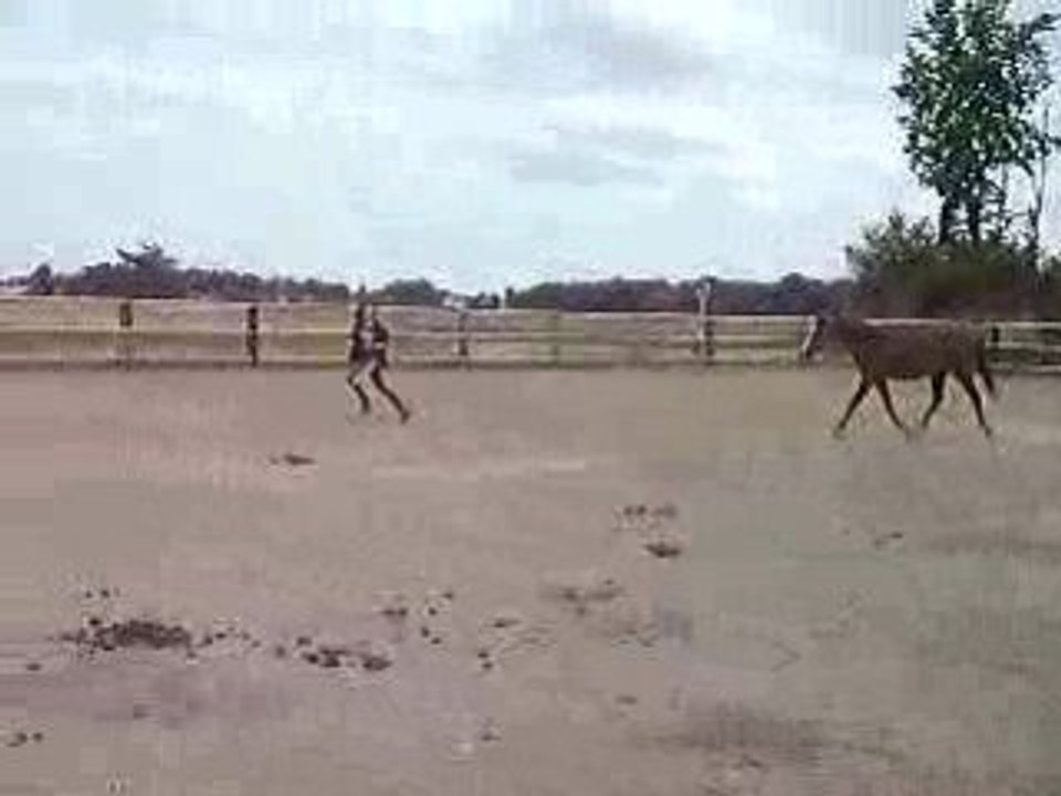 Jumper me suit dans le près (,: