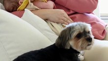 Décoder les Pleurs de Bébé ? Apprenez CECI ! 🤰🔥