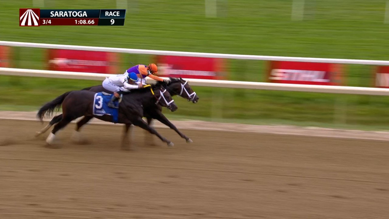 What's better than one fastest horse? Two!