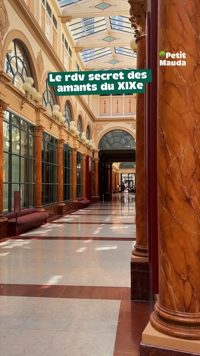 🕯️ LA GALERIE RIVALISANTE ET SON MYSTÉRIEUX "COCOTIER" LUMINEUX ! 🏛️✨