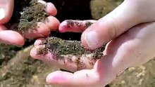 whatsapp video 2026-08-05 at 4.37.25 pm.mp4