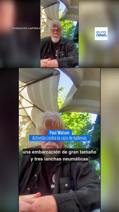 Islandia expulsa y prohíbe volver al país a 21 activistas contra la caza de ballenas