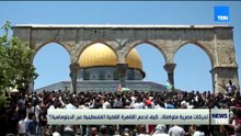تحركات مصرية متواصلة.. كيف تدعم القاهرة القضية الفلسطينية عبر الدبلوماسية