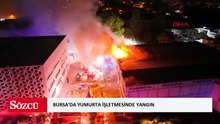 Bursa'da yumurta işletmesinde yangın
