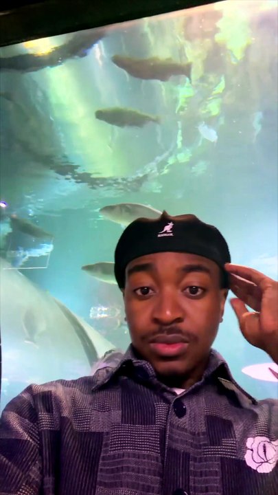 story ocearium