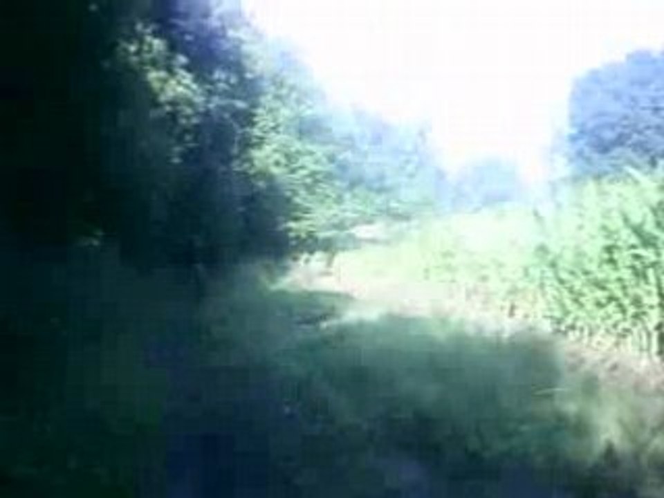 V5