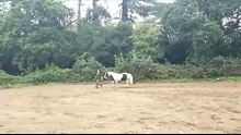 The Best Free run with my Horse