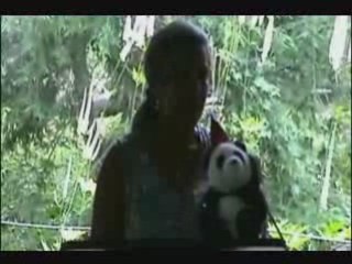 PU Dinner 2008 - Lisa Stevens