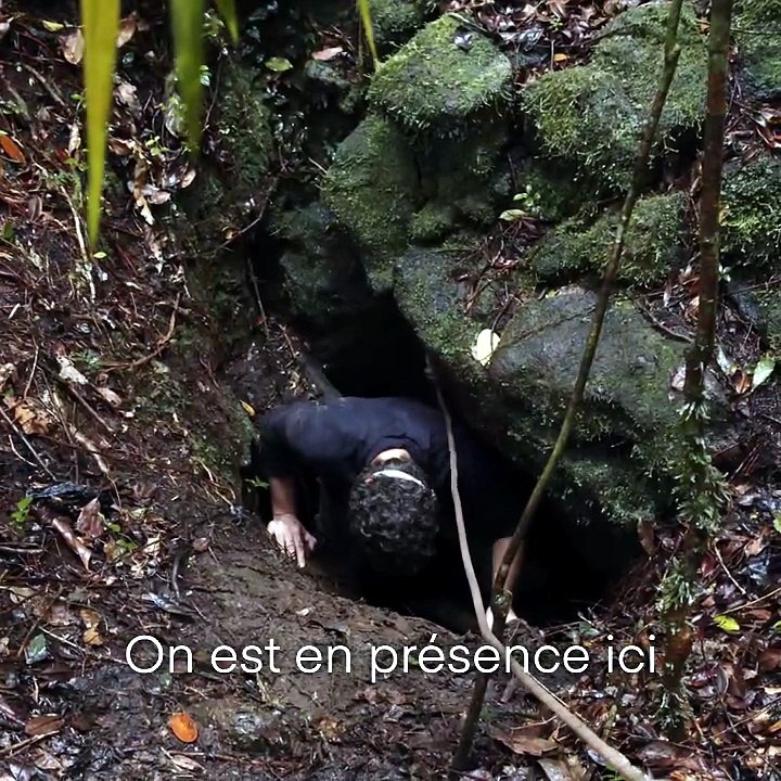 Quand les tortues de terre peuplaient La Réunion