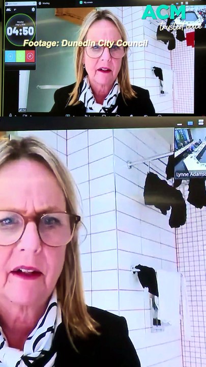 'You can see my washing?': NZ councillor's bizarre Zoom call from bathroom goes viral