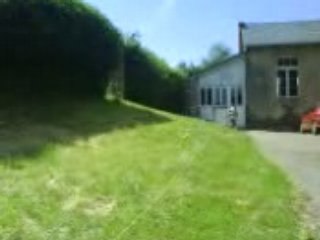 rapace sur leurre electrique 2