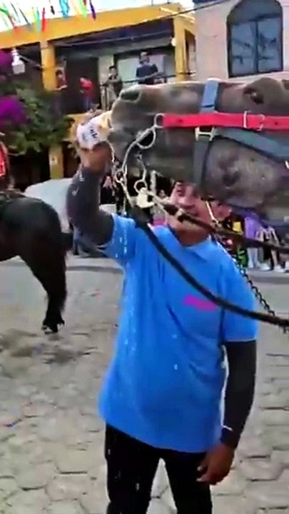 Hombre da cerveza a un caballo en Puebla