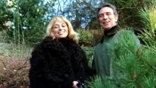 Julie Darling (1983)