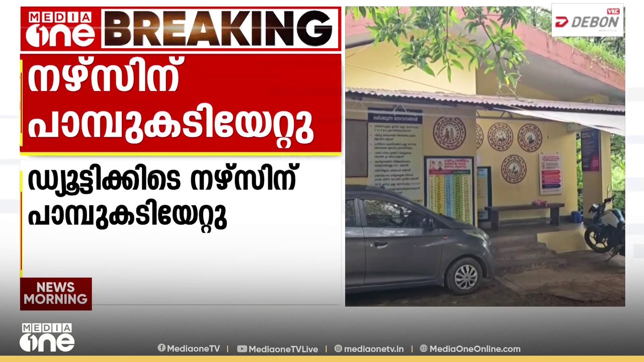 പാലക്കാട് ജനകീയ ആരോഗ്യ കേന്ദ്രത്തിലെ നഴ്‌സിന് ഡ്യൂട്ടിക്കിടെ അണലിയുടെ കടിയേറ്റു...