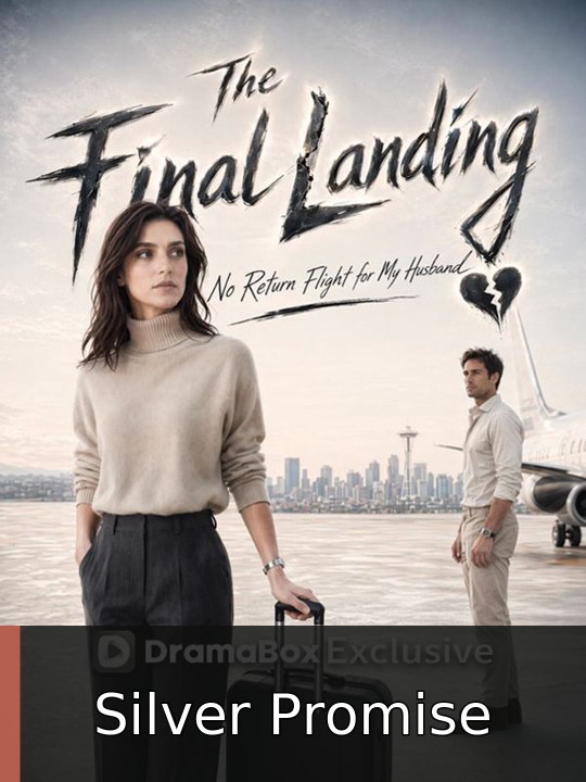 The Final Landing: No Return Flight for My Husband | Silver Promise