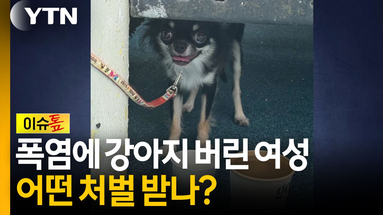 폭염에 강아지 버린 여성...어떤 처벌 받나? [이슈톺]  / YTN