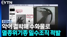 악어 입 결박해 수화물로...멸종위기종 밀수조직 적발 / YTN