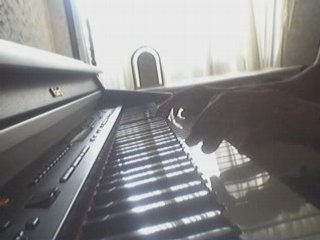 Elie - If It Kills Me (Jason Mraz) - Piano