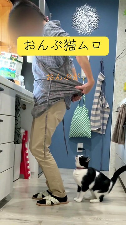 A cat who loves being carried on someone's back So cute 🥰