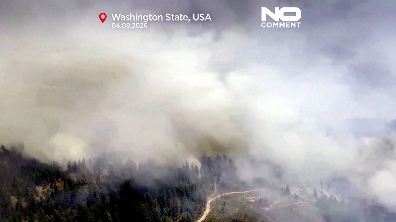 Incendi in Washington: colonne di fumo sulle foreste mentre si lotta contro il fuoco