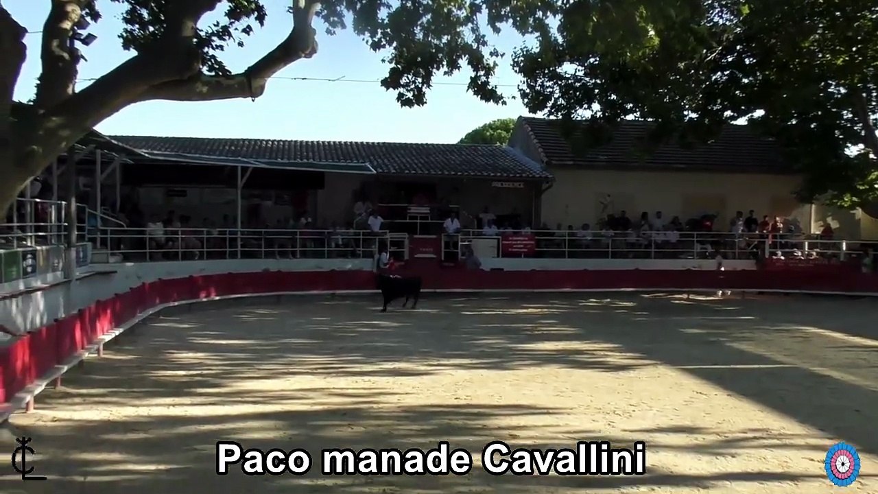 2026 07 28 Paco