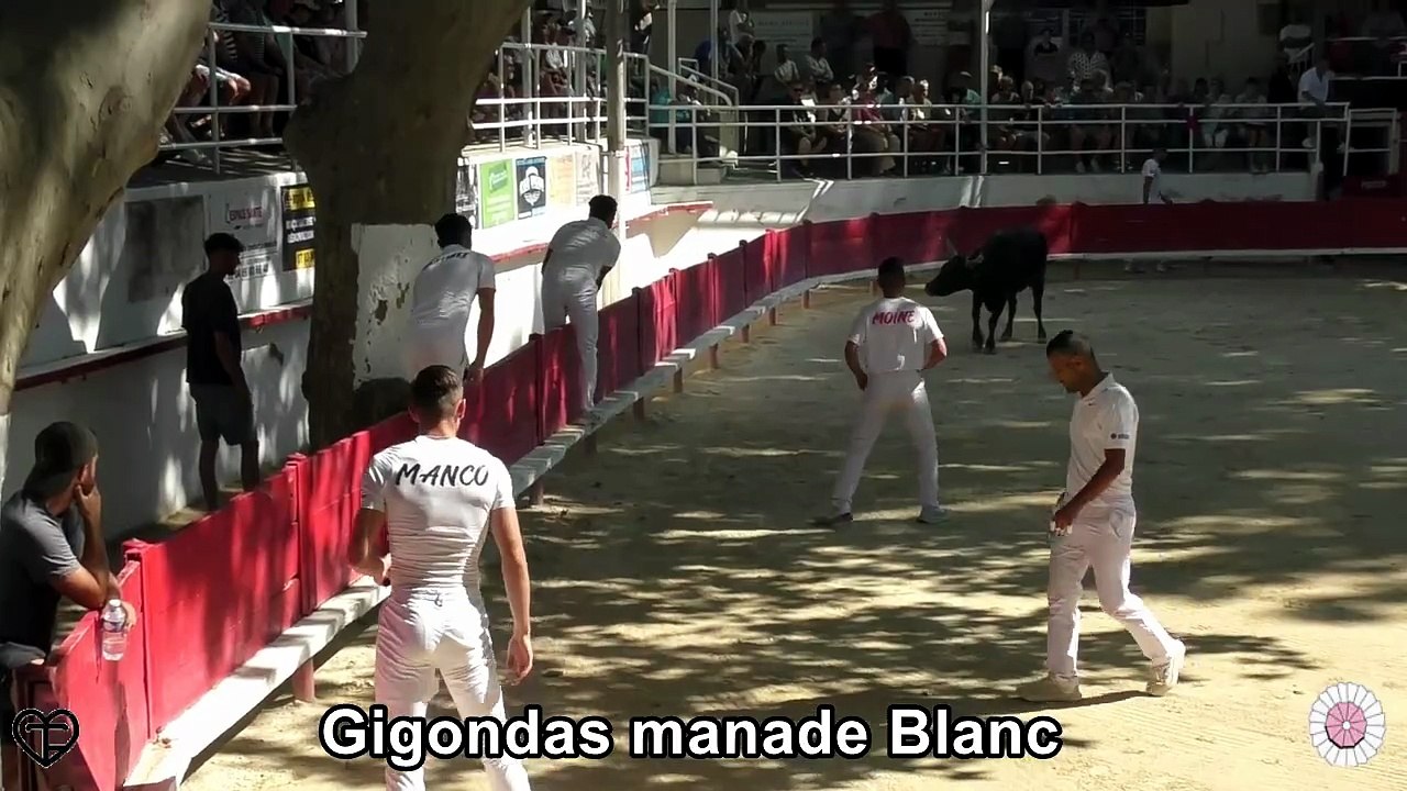 2016 07 28 Gigondas