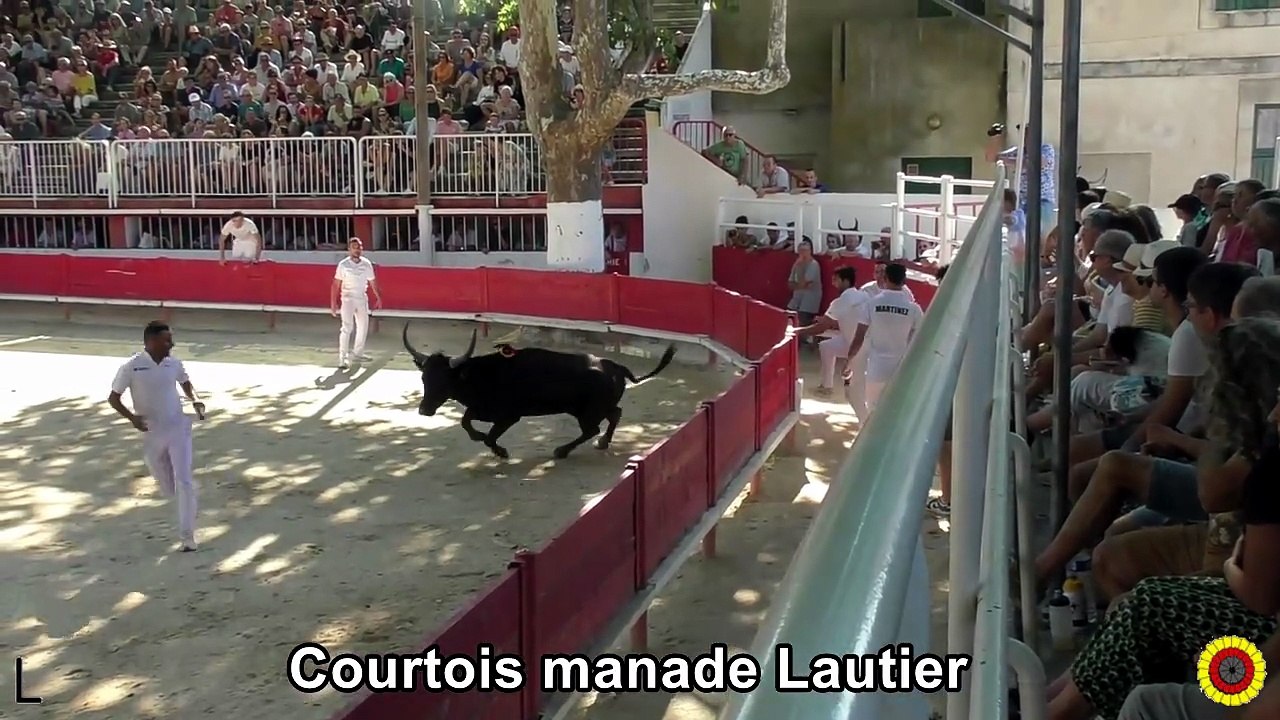2026 07 28 Courtois