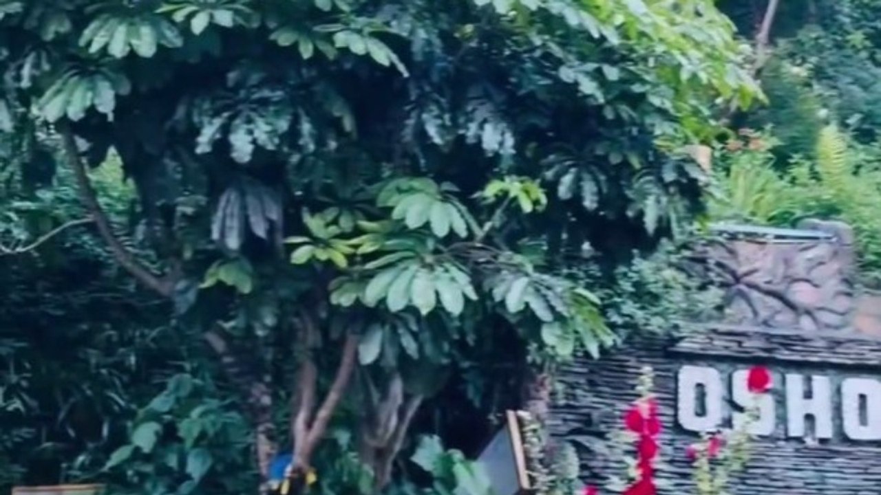 Moutain osho aashram