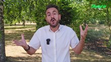 La météo de Farid du 7 août 2026
