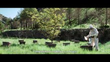 Enjambre (Eixam) - Tráiler oficial