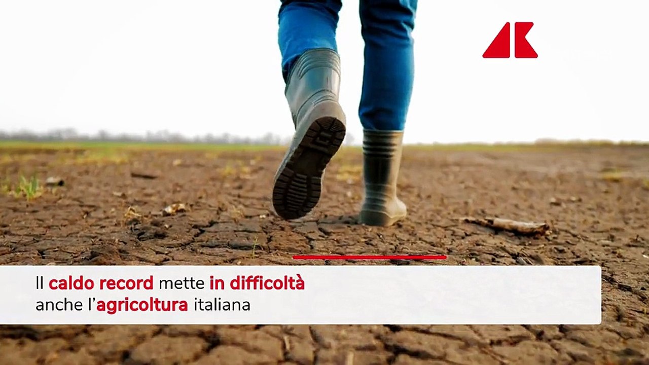 Caldo record taglia produzione ortofrutta