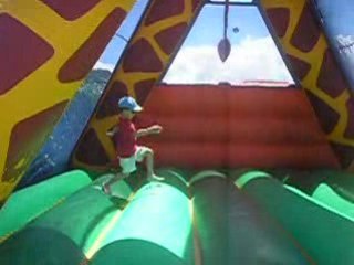 La girafe
