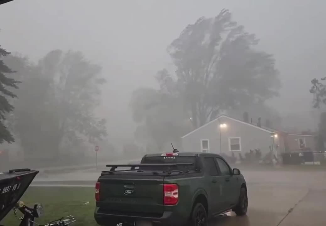 Tree Falls on Power Lines During Powerful Storm in Livonia, Michigan