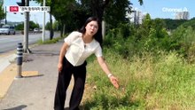 [단독]“경적 항의해 홧김에 돌진”…‘살인미수’ 구속