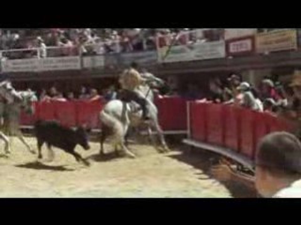 100 taureaux à lunel 12 juillet 2008